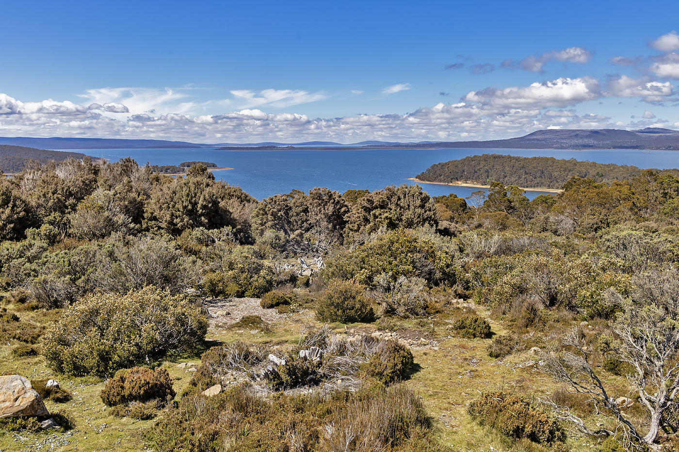 Tasmanian wilderness