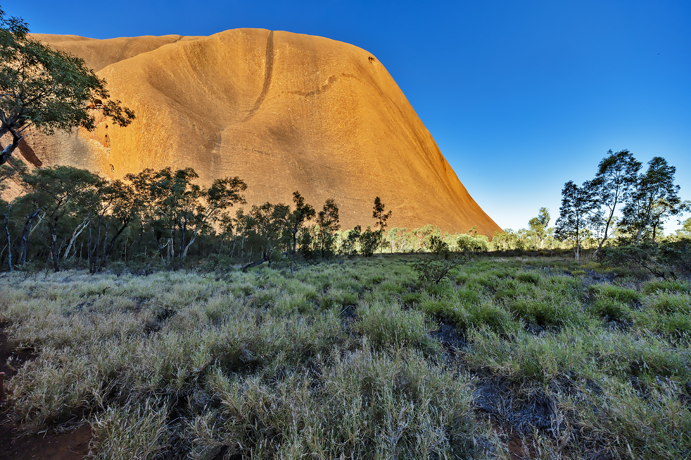 Uluru