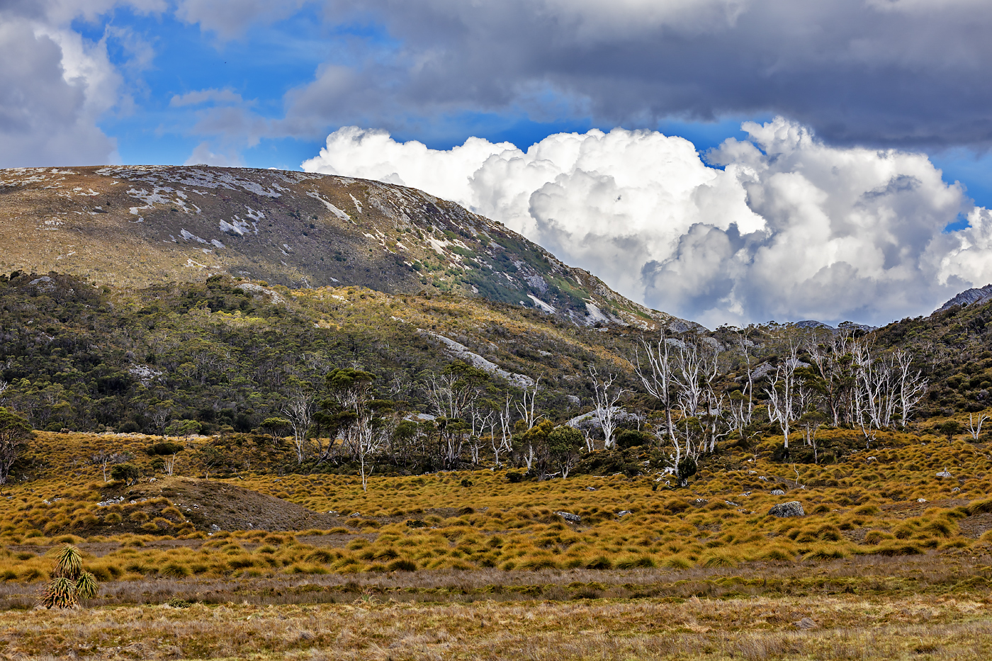 Cradle Mountain