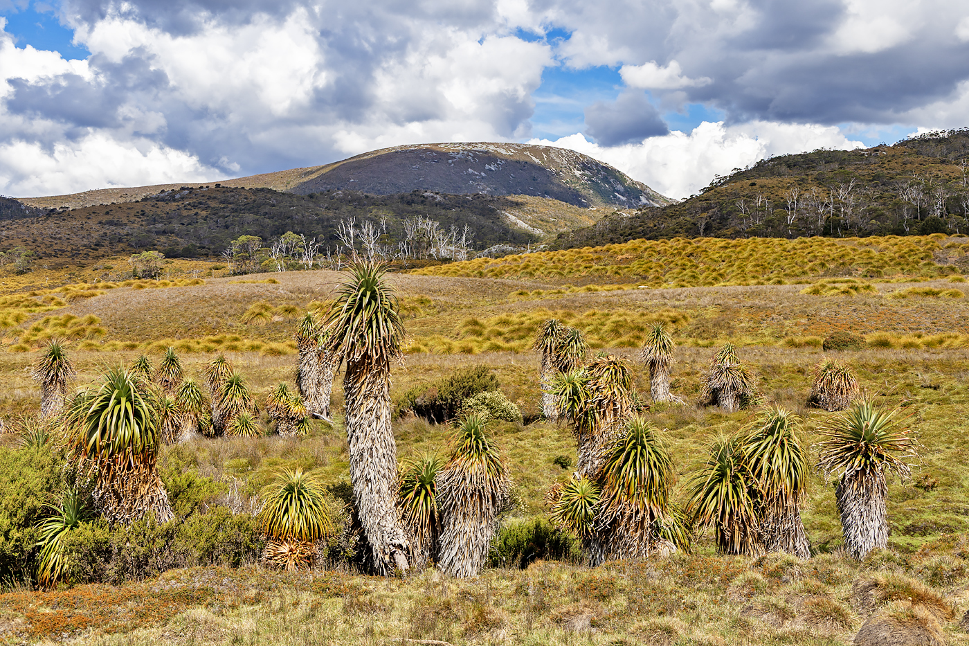 Cradle Mountain