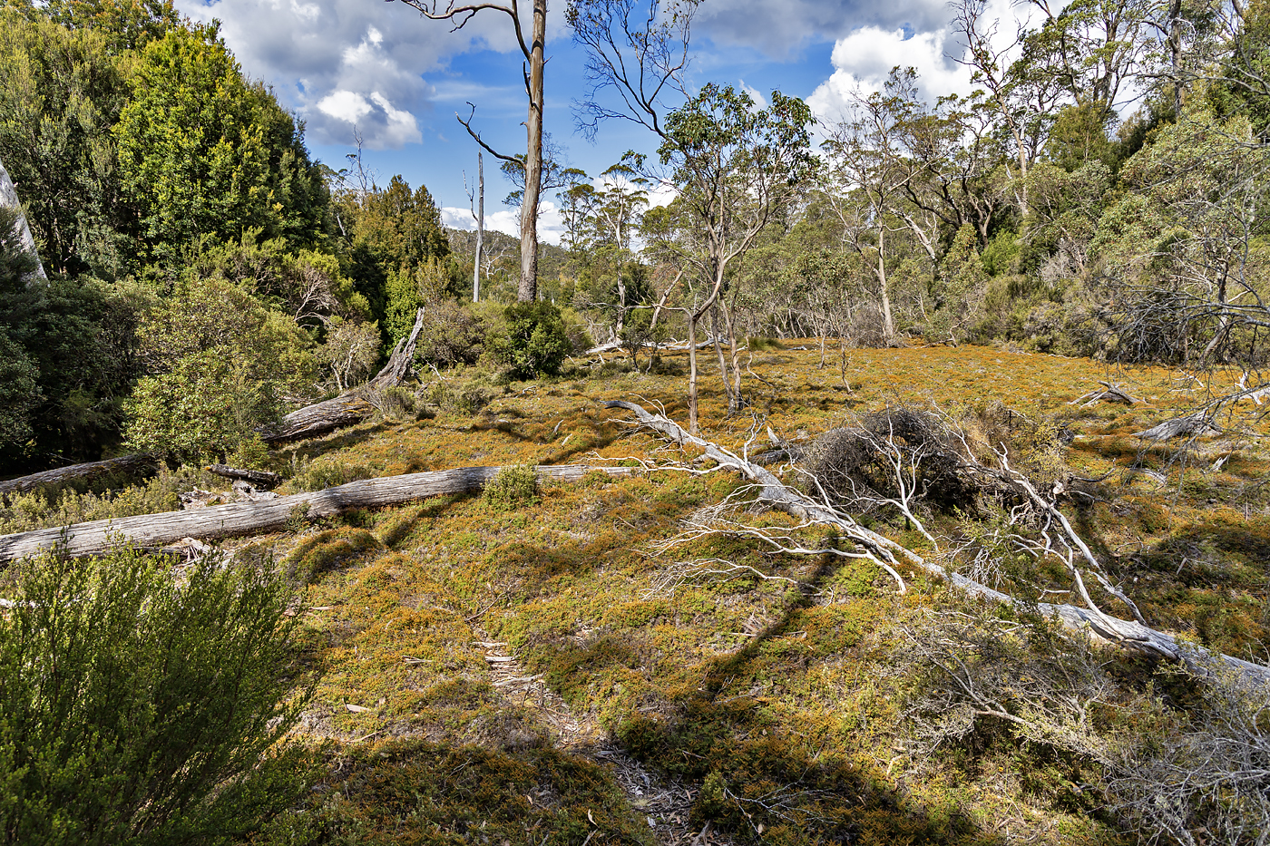 Cradle Mountain