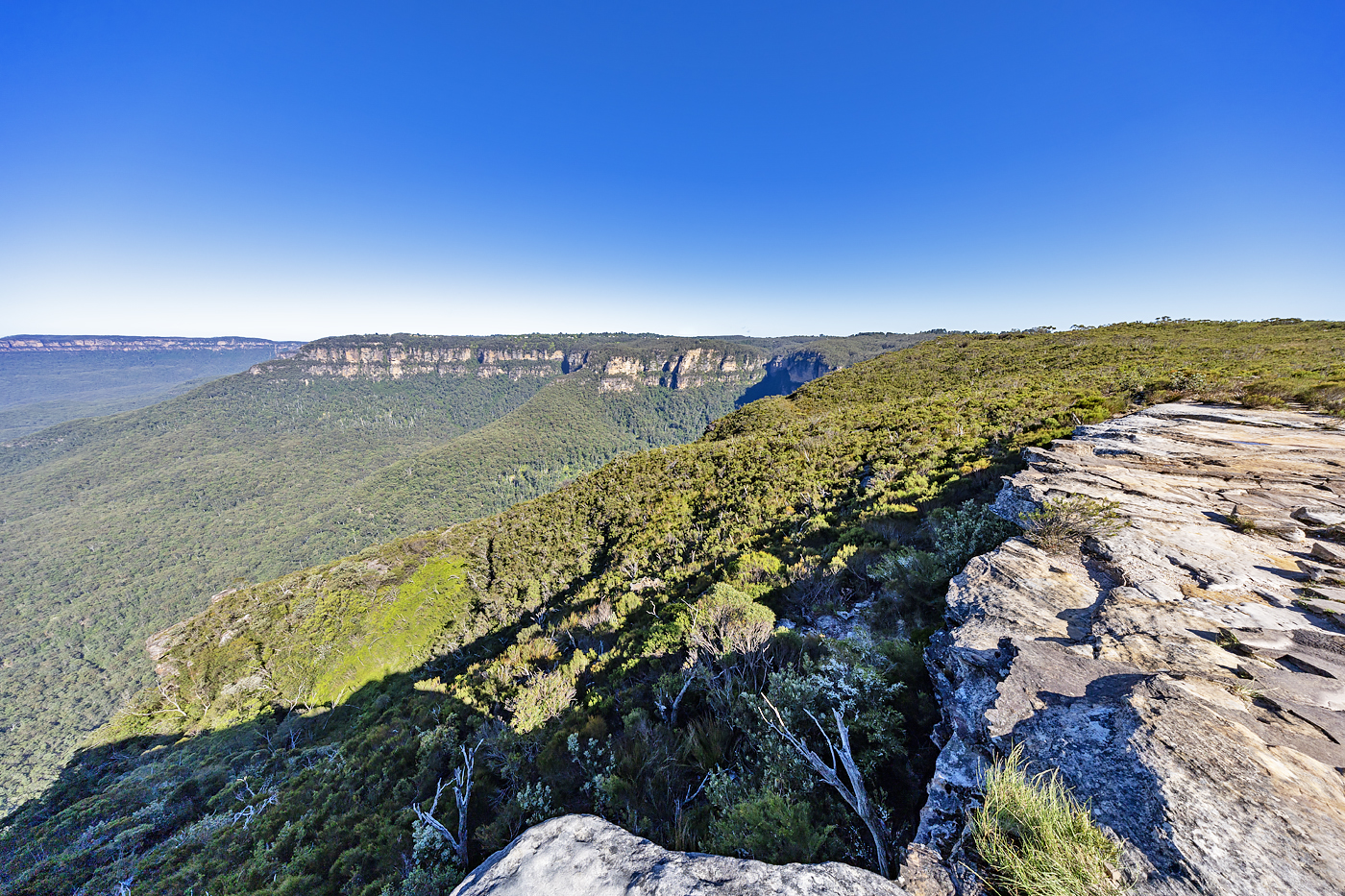 Blue Mountains