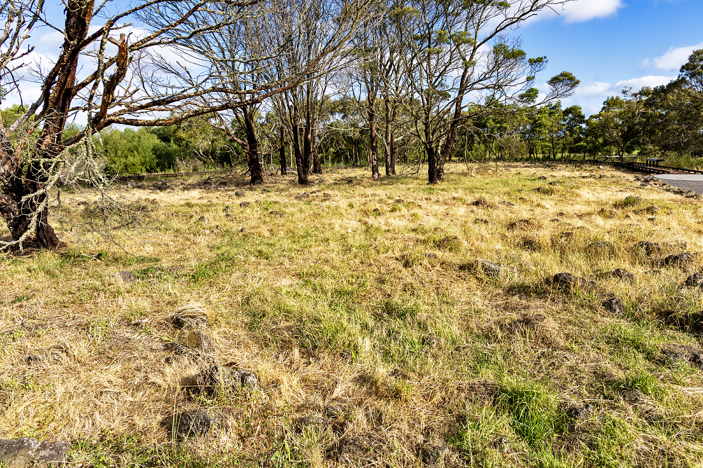 Budj Bim Cultural Landscape