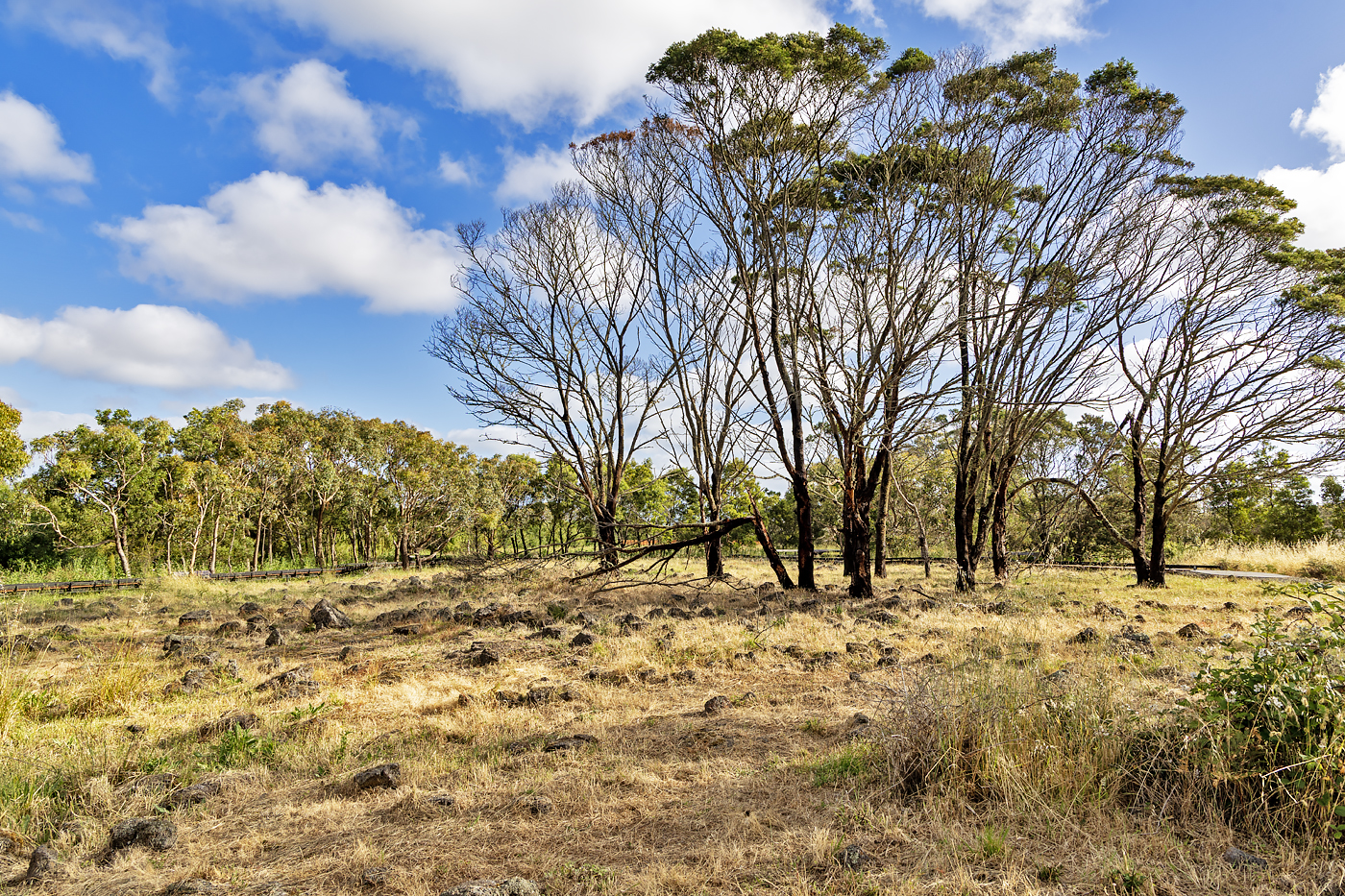 Budj Bim Cultural Landscape