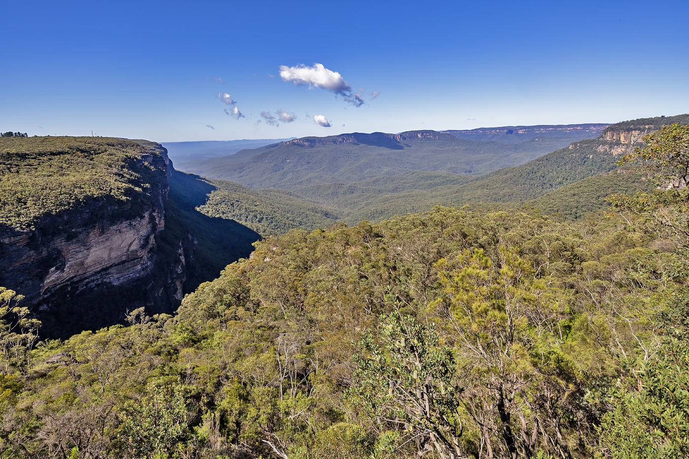 Blue Mountains