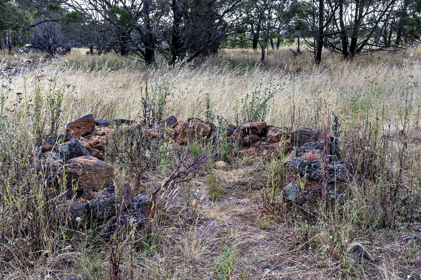 Budj Bim Cultural Landscape