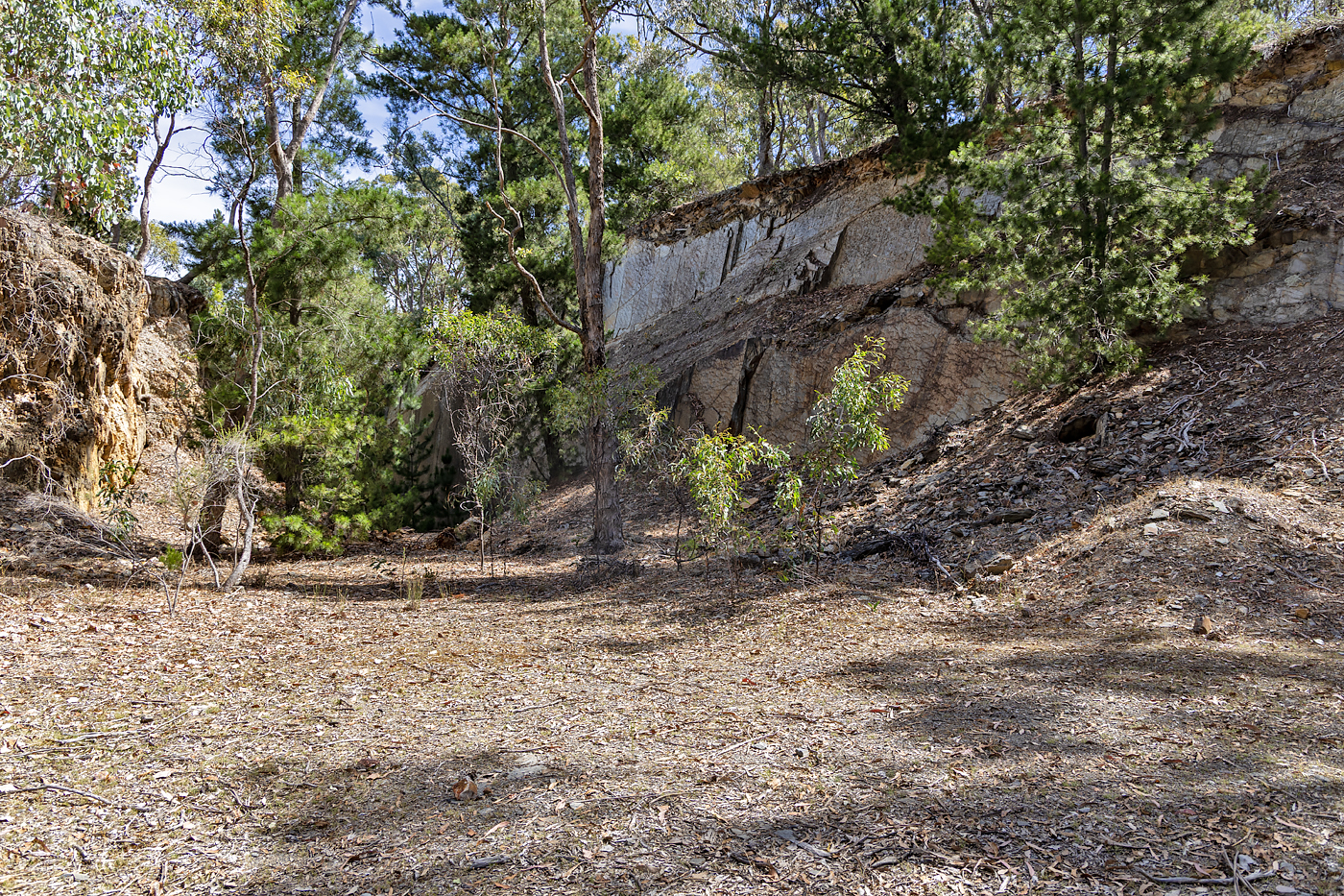 Victorian Gold mines