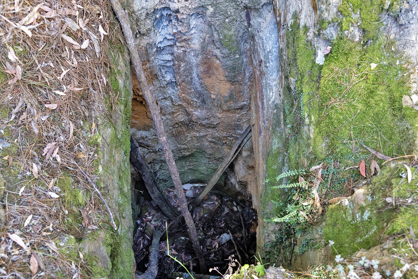 Victorian Gold mines