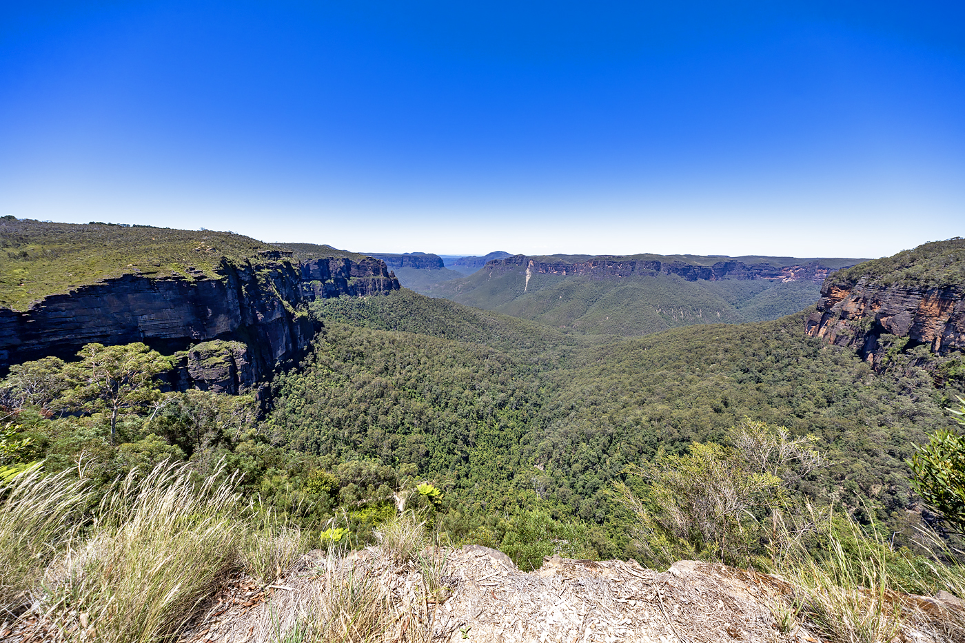 Blue Mountains