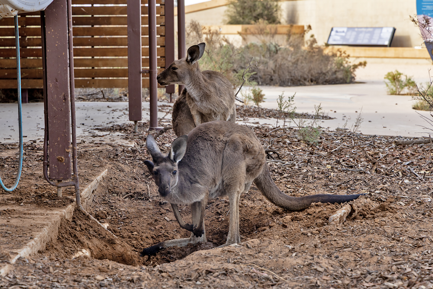 Willandra Lakes