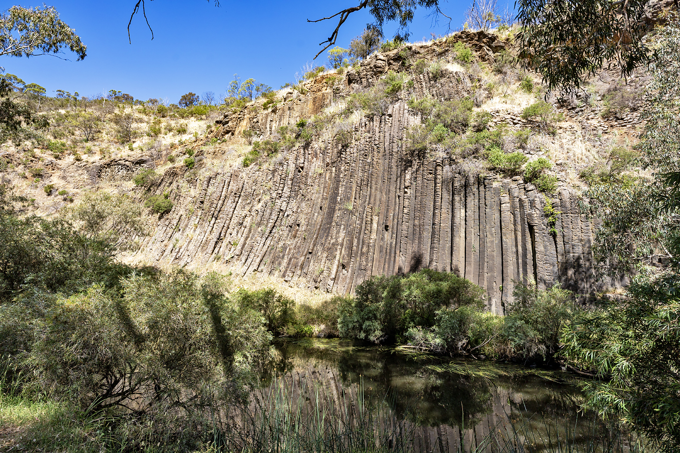 Organ Pipes National Park