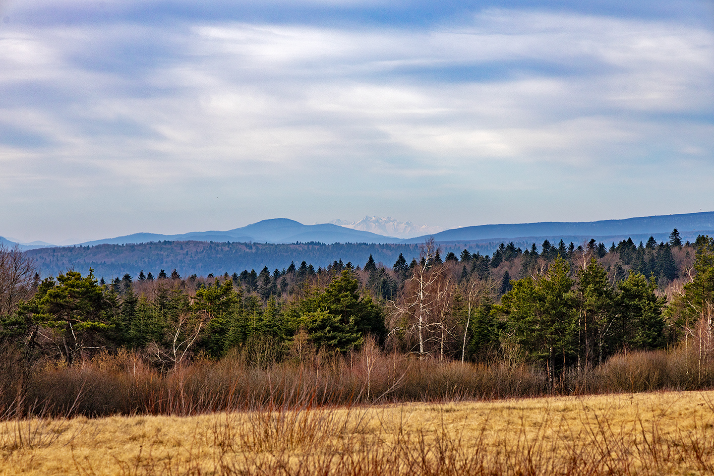 Magurski National Park