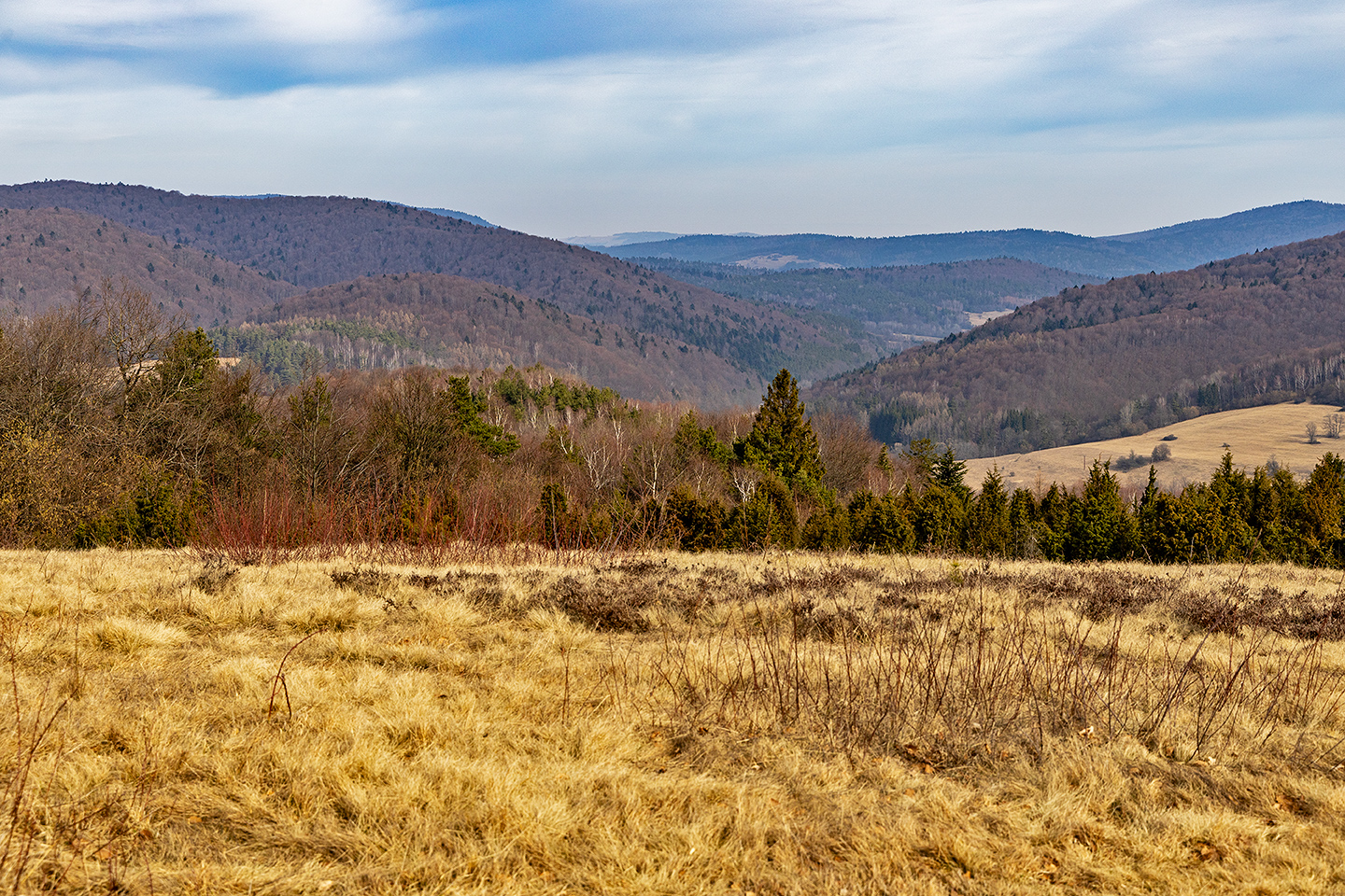 Magurski National Park
