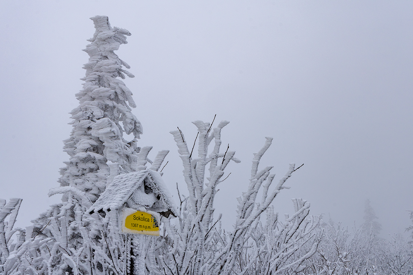 Babia Góra National Park
