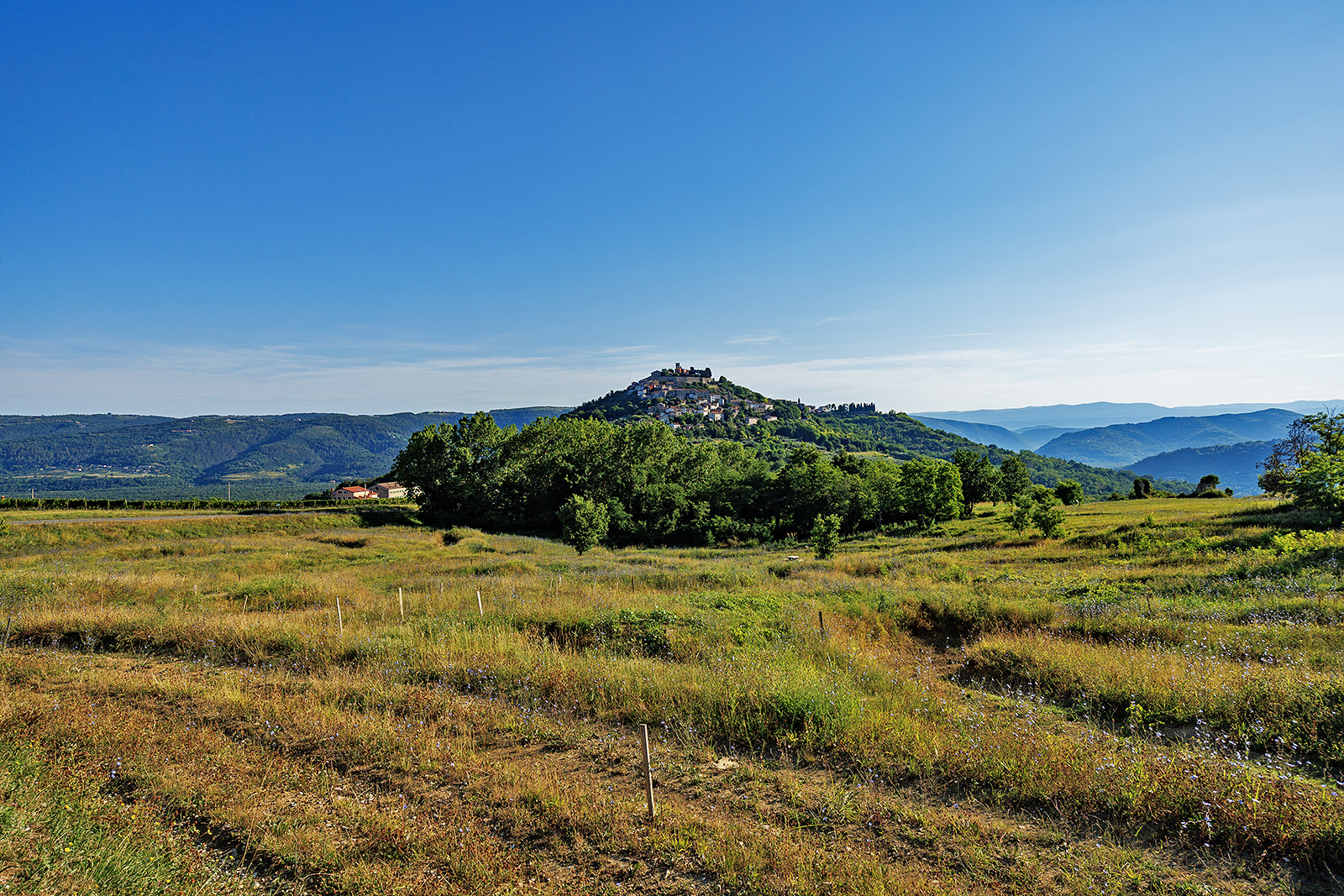 Motovun