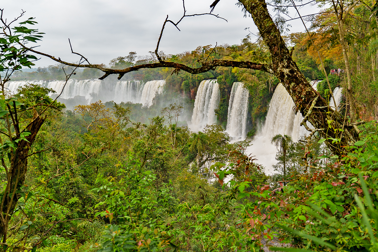 Iguazu National Park