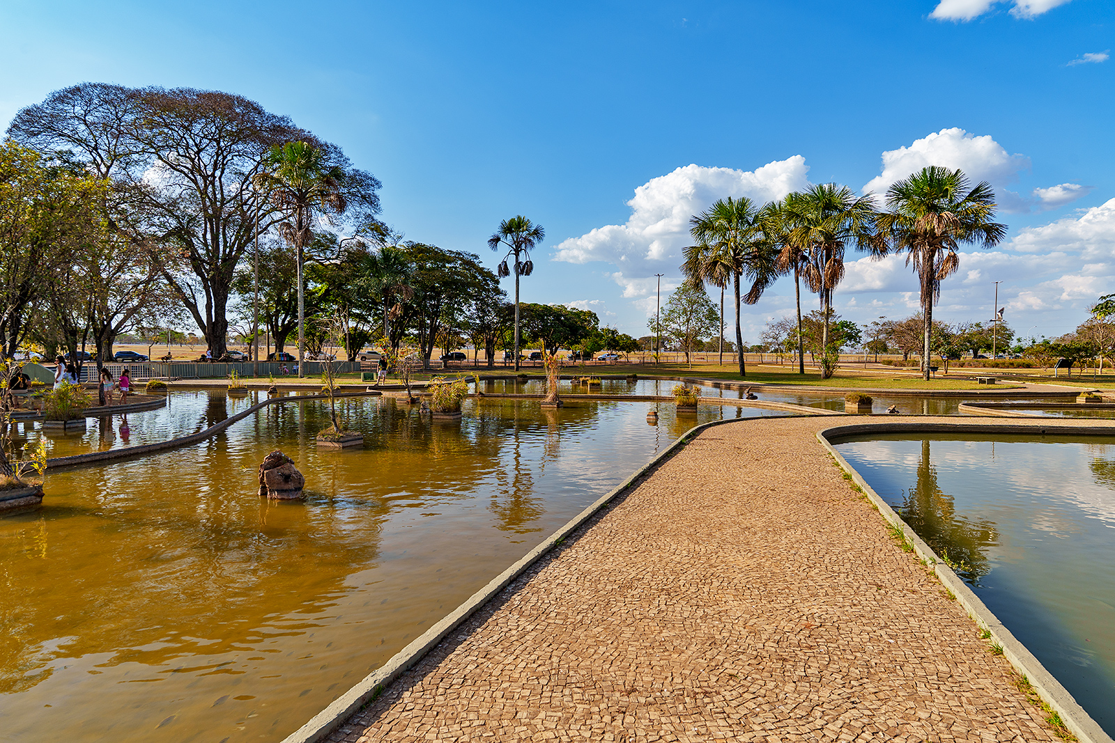 Brasilia