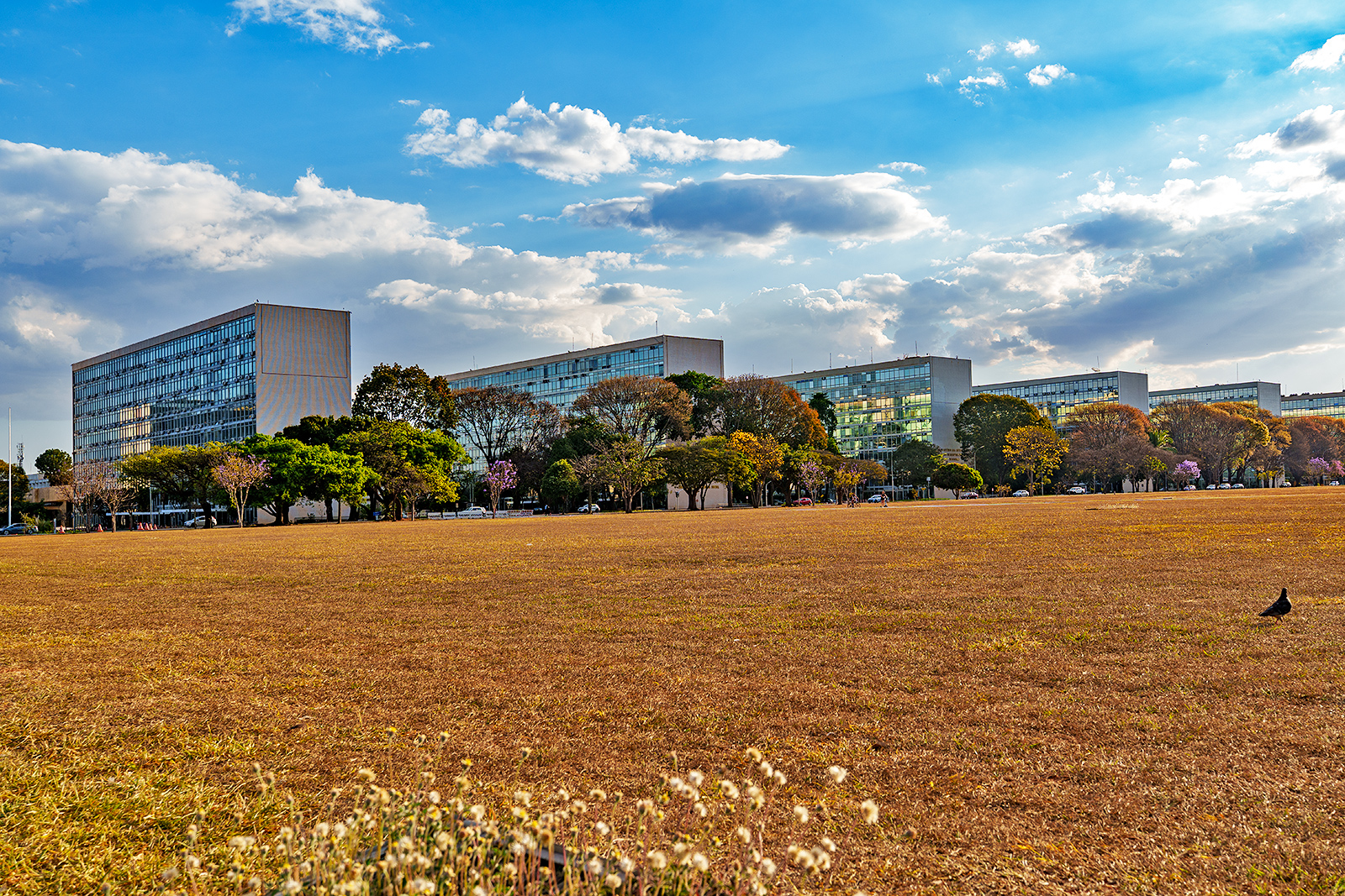 Brasilia