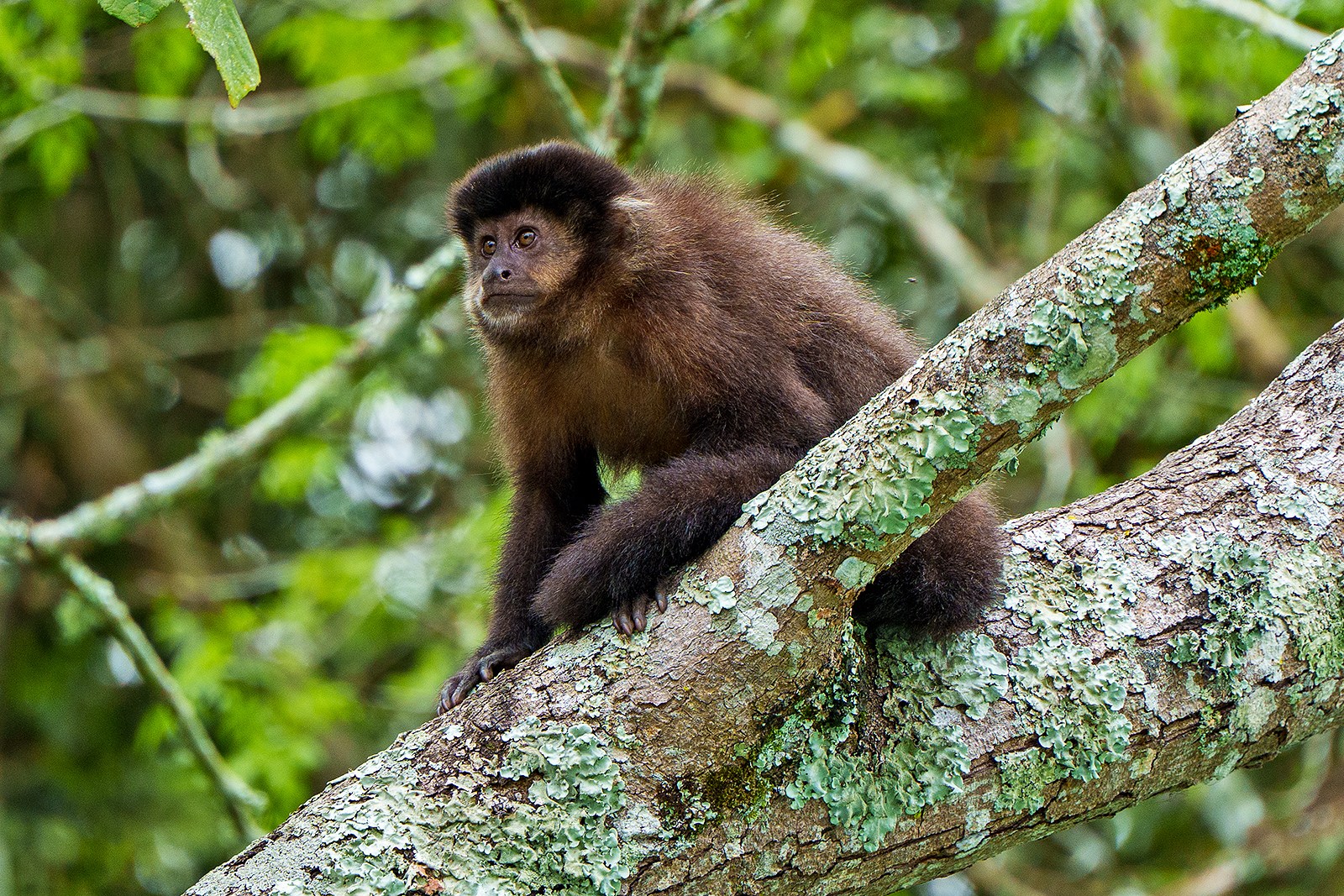 Iguazu National Park