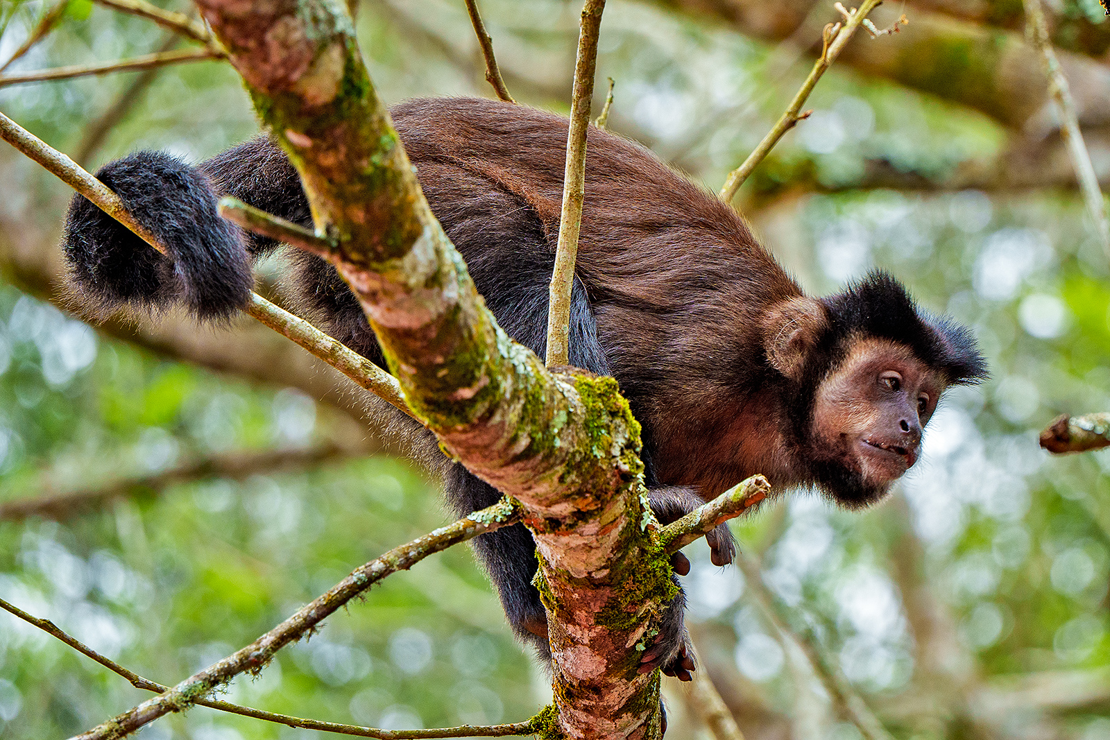 Iguazu National Park
