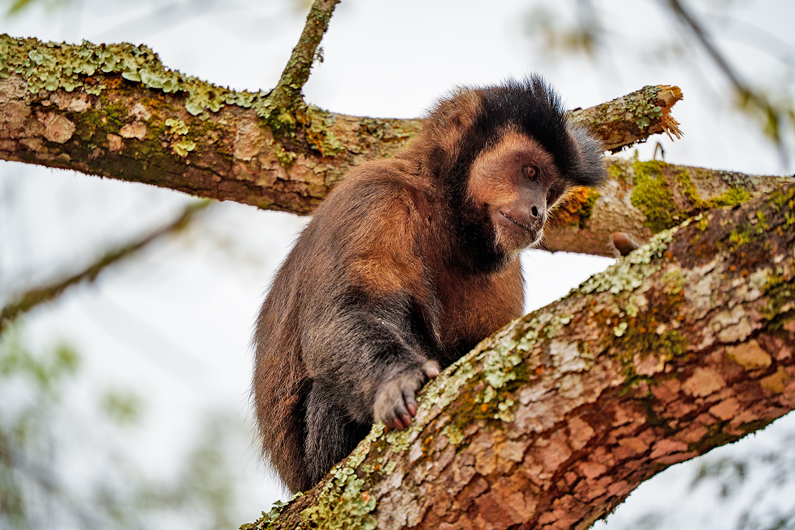 Iguazu National Park
