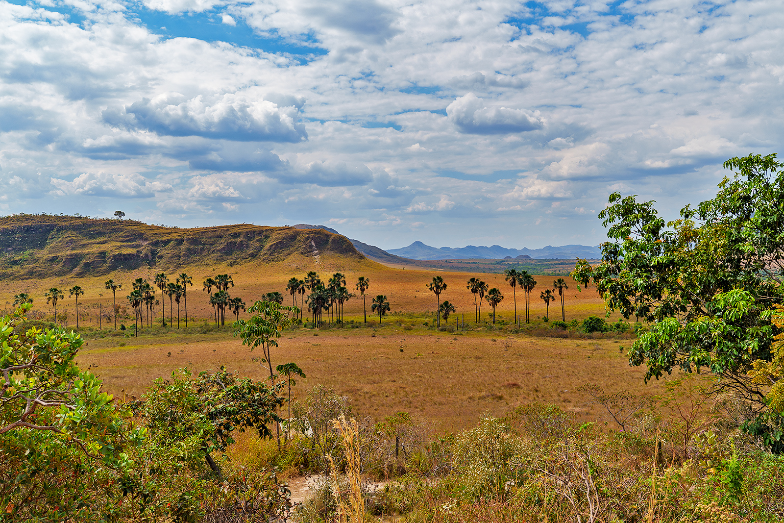 Chapada dos Veadeiros