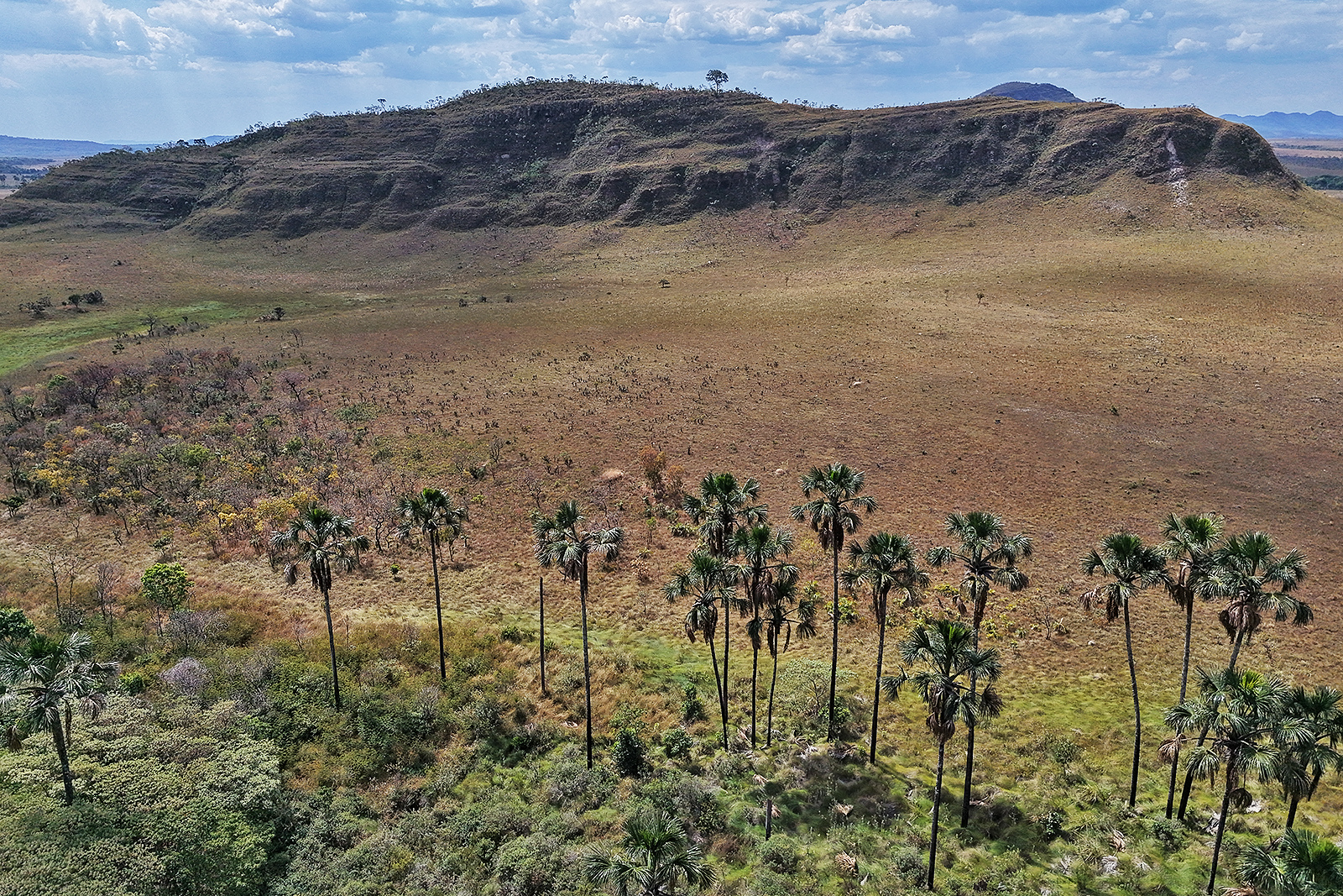Chapada dos Veadeiros
