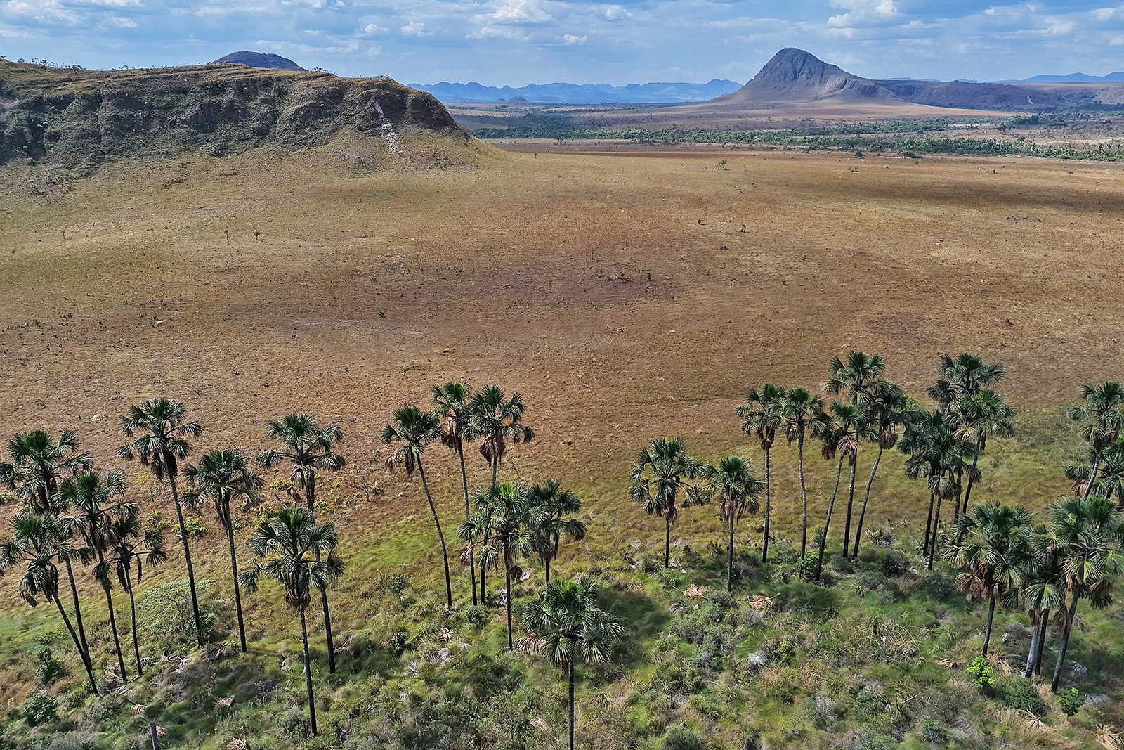 Chapada dos Veadeiros