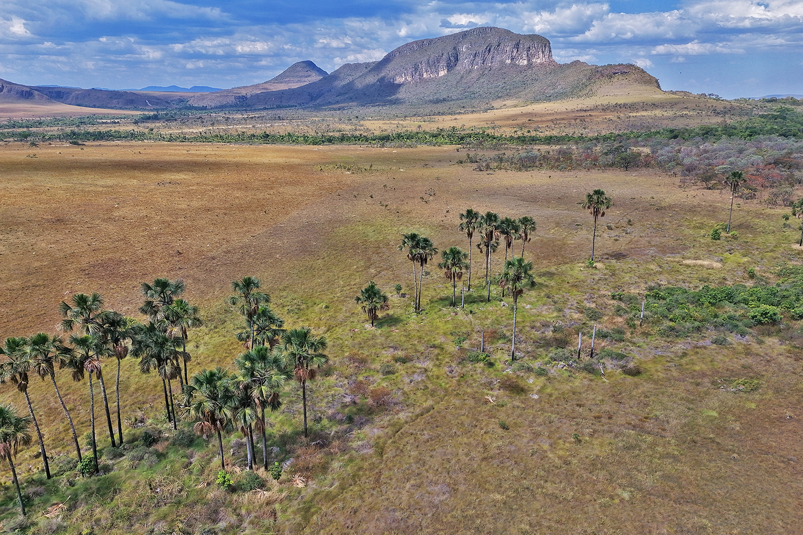Chapada dos Veadeiros