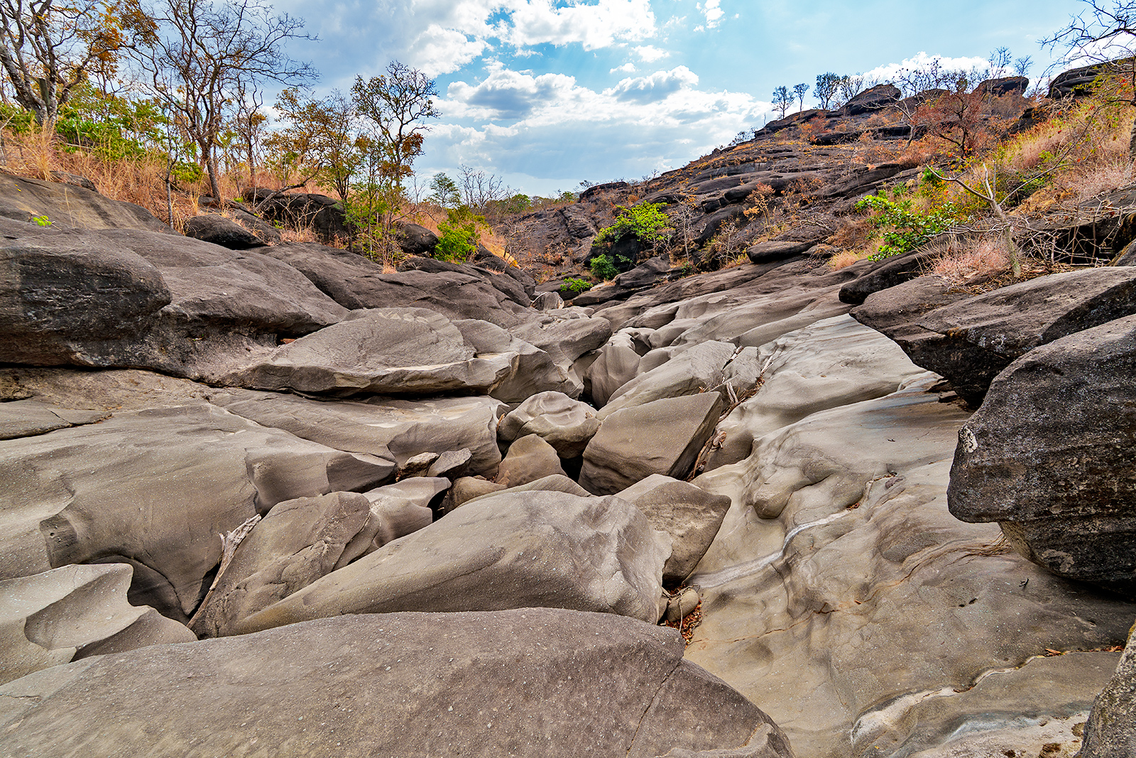 Chapada dos Veadeiros