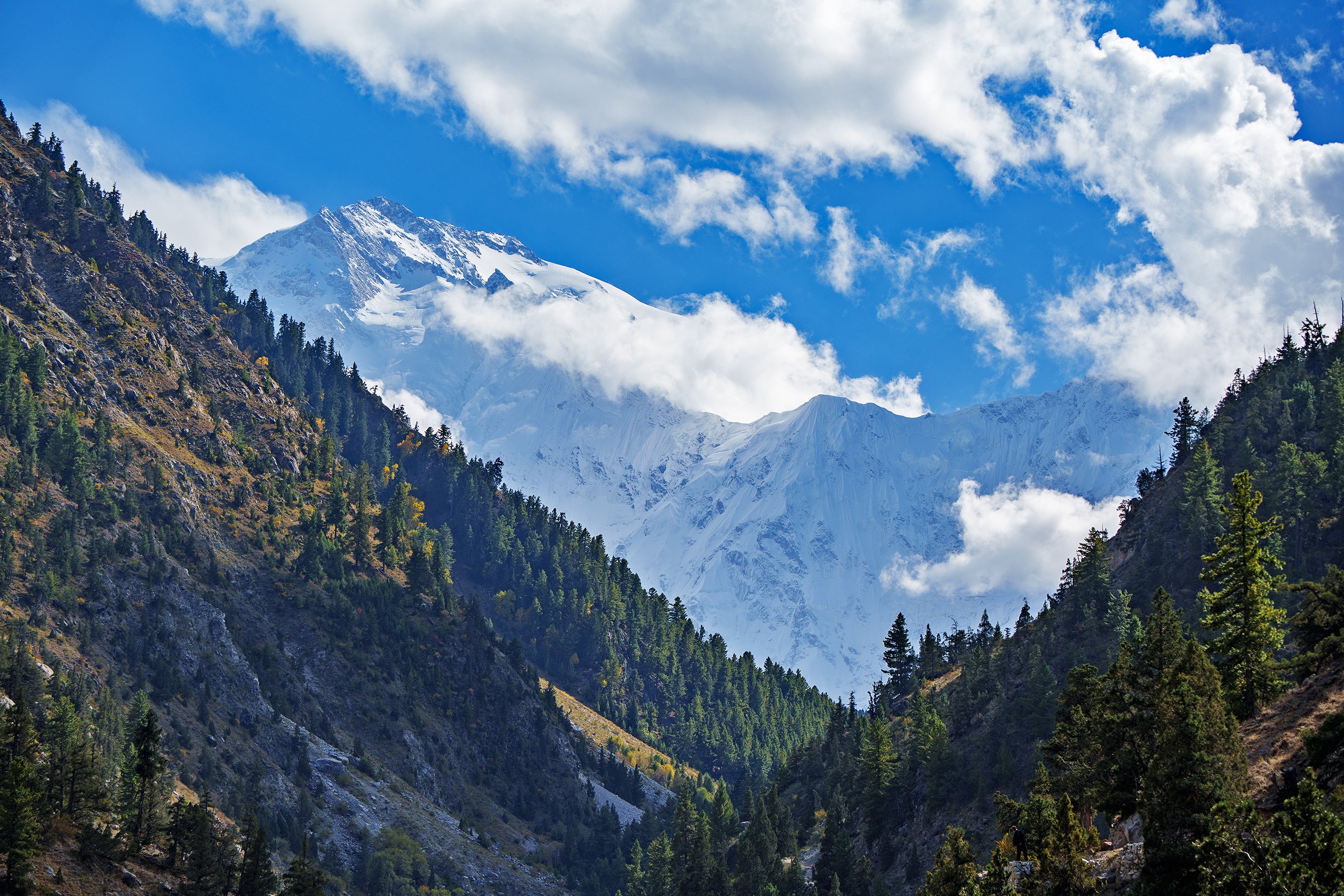 Nanga Parbat