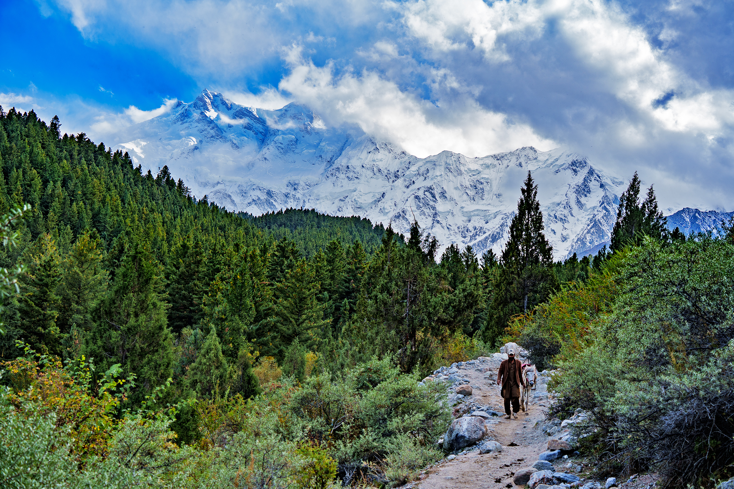 Nanga Parbat