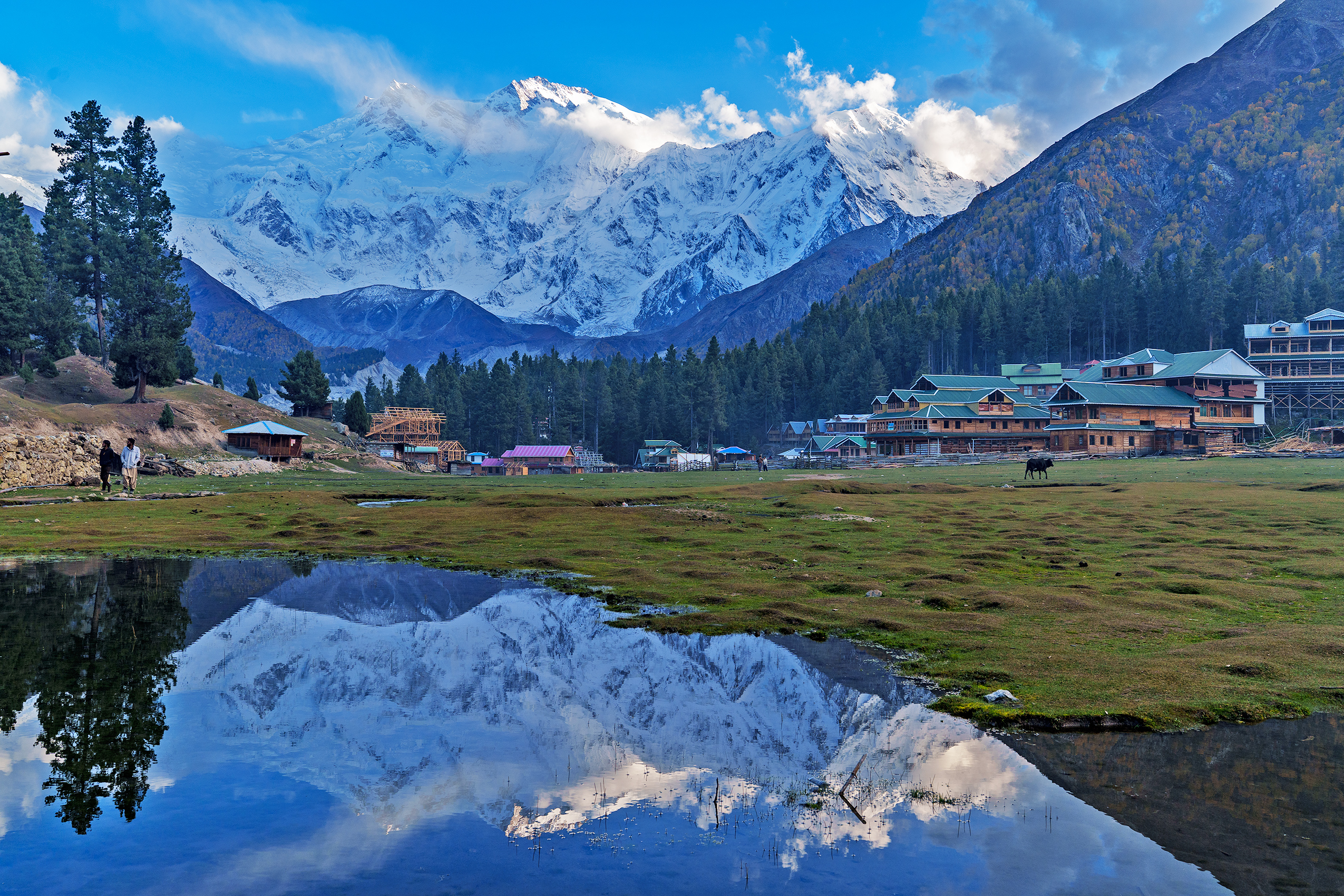 Fairy Meadows