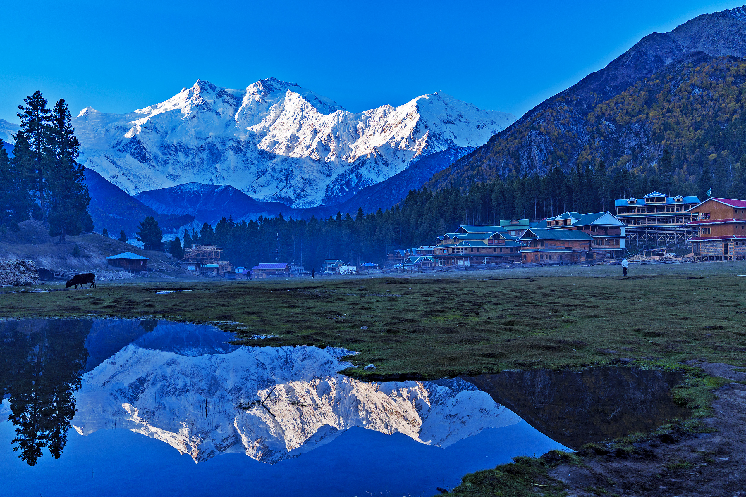 Fairy Meadows